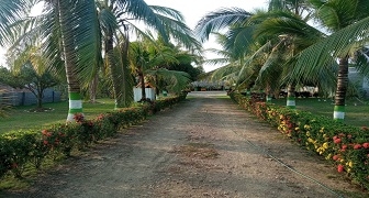 LOTE 2 EN SIERRA CHIQUITA